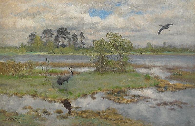 bruno liljefors Landscape With Cranes at the Water oil painting image